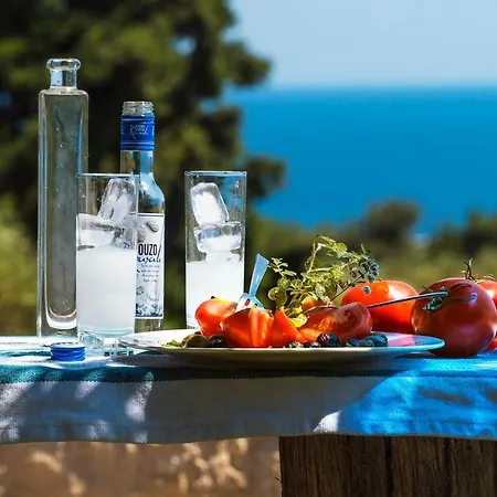 Bohemian Blue * הרסוניסוס